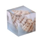 square cube mold
