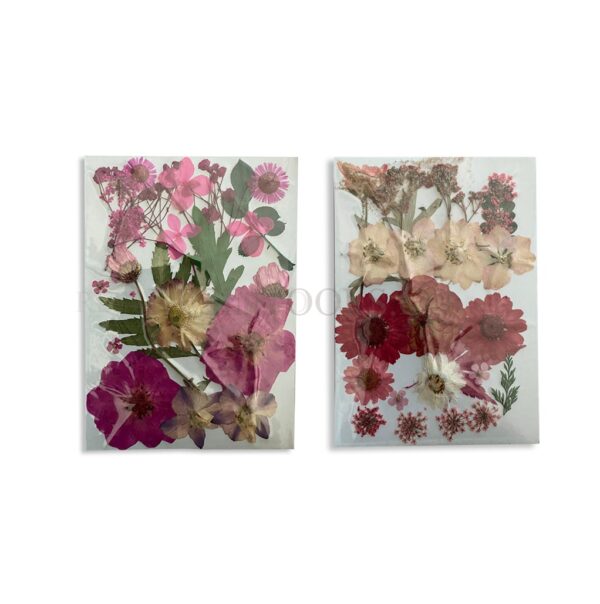 RESINTOOLS.CO - DRYFLOWER
