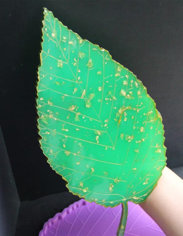 Leaf Mold Tray-coaster - Resintools.co