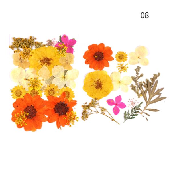 Dry Flower Model8 - Resintools.co