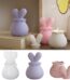 Rabbit Jar Mold - Resintools.co